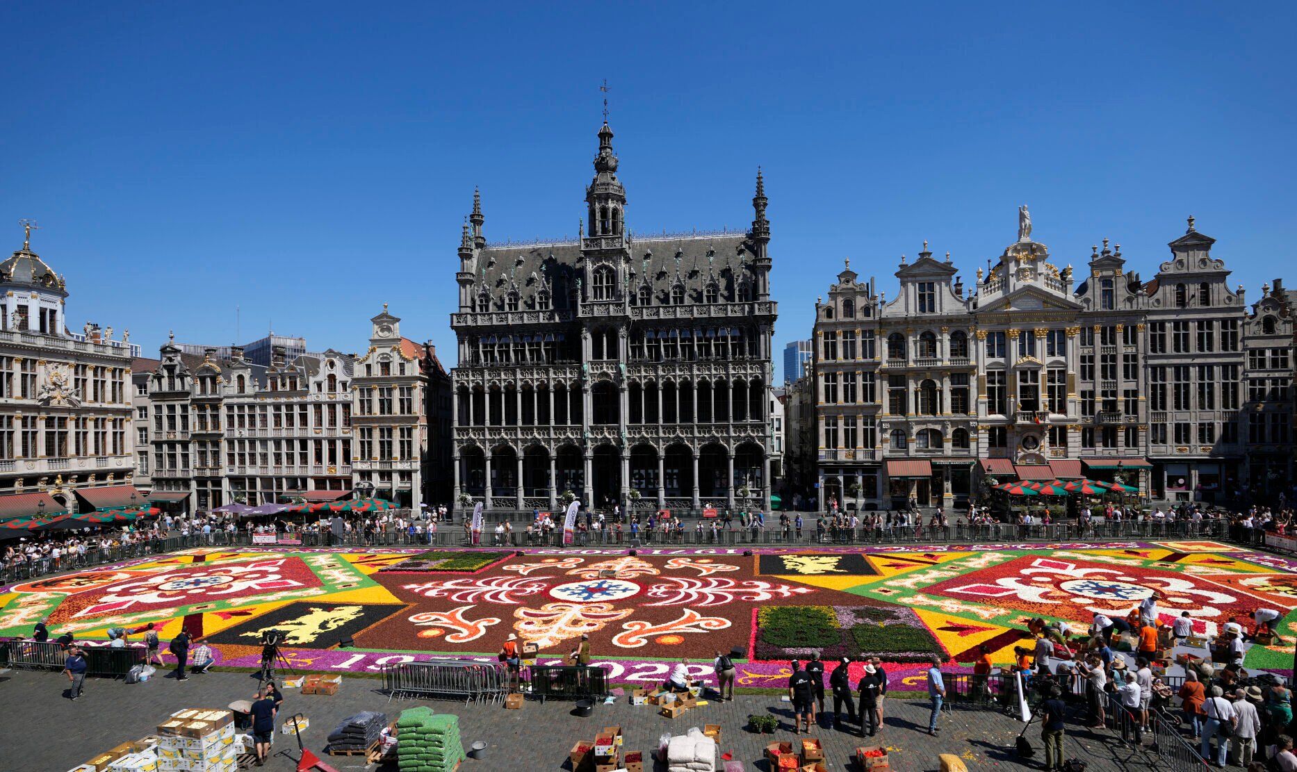APTOPIX Belgium Flower Carpet